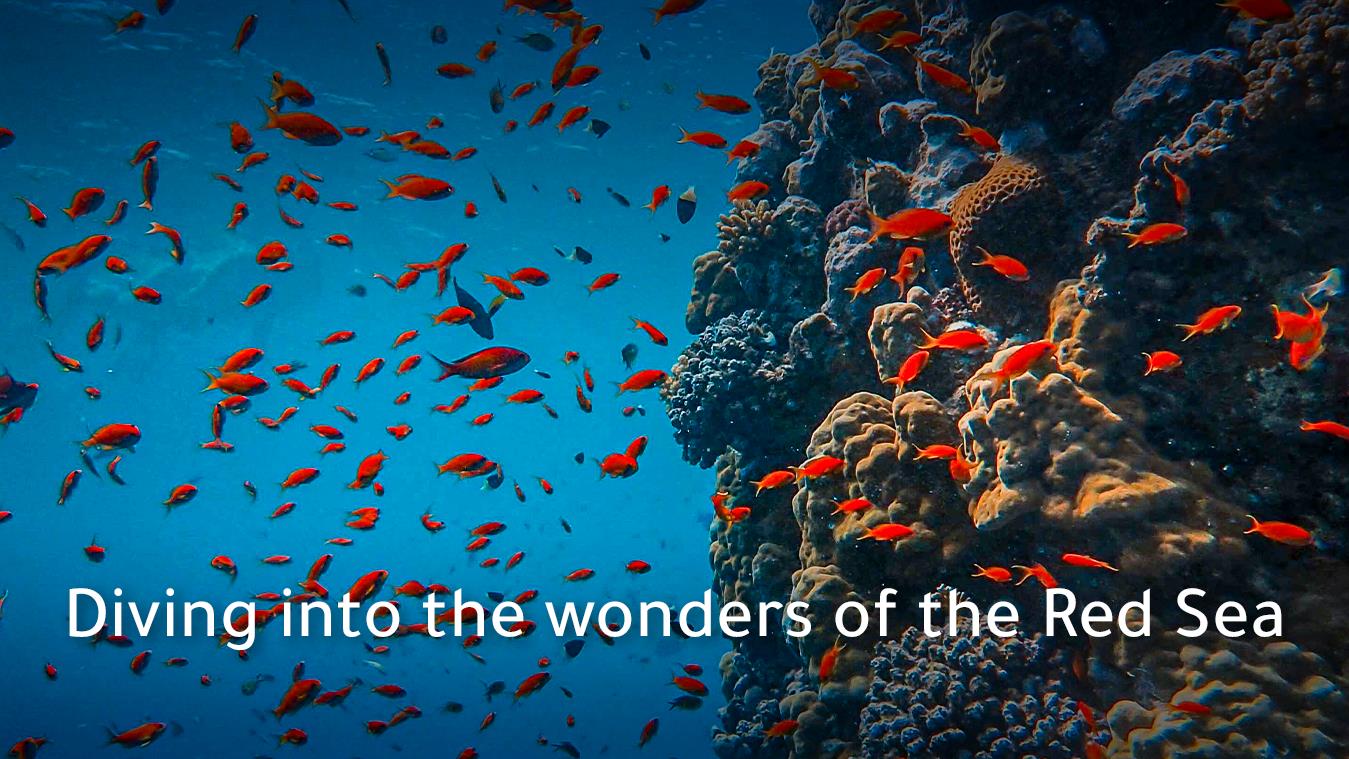 Aqaba on the sea