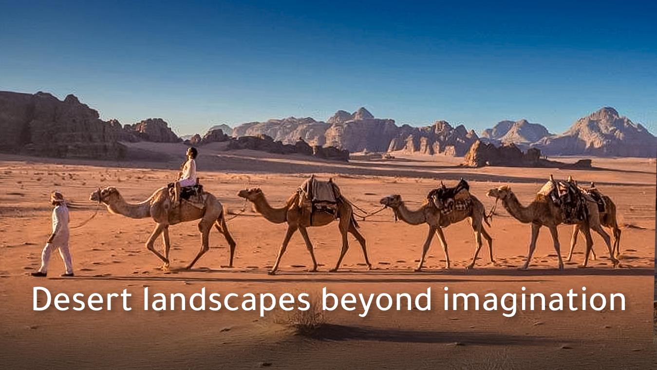 wadi rum adventure, wadi rum safari tours, swim in the red sands of wadi rum with our best tours in 